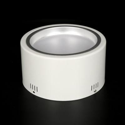 18W 8 Inch SMD2835 Surface Mounted Down Light LED Ceiling Light for Residential Office Hotel Apartment Corridor Balcony