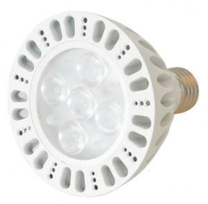High Power LED Spot Light (YL-SLD-J10WPAR30)