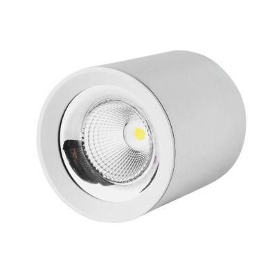 Ce Certified Residential LED Light 20W LED Down Light LED Ceiling Spot Lamp