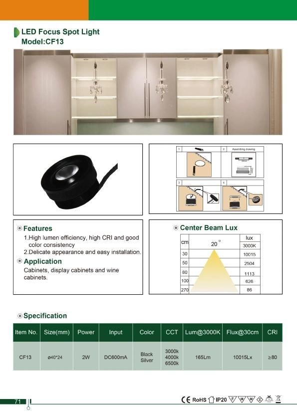 Top Quality DC600mA Display Cabinet Lighitng LED Focus Spotlight