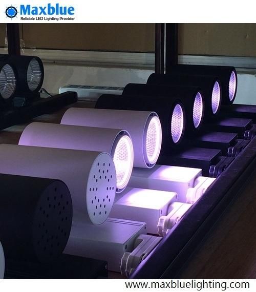 30W Special Color LED Track Light for Meat/Fish/Bread/Vegatable