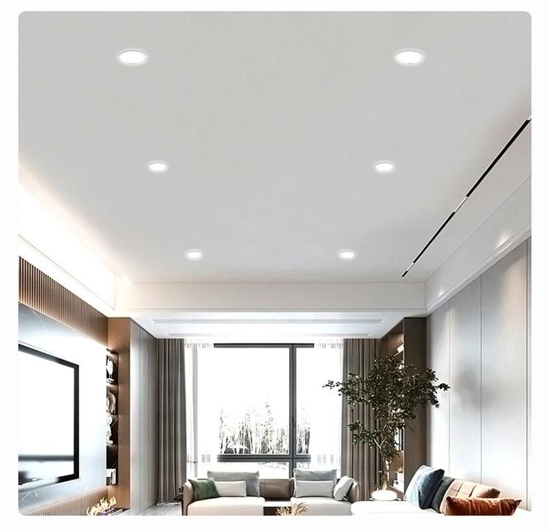 Interior White 7W 15W 25W 35W Shop COB Hotel Recessed Adjustable Round Down Light LED Downlight