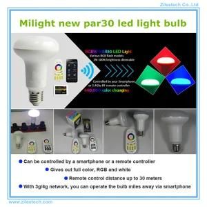 220V LED Lamp Luminous PAR30 RGBW Dimmer