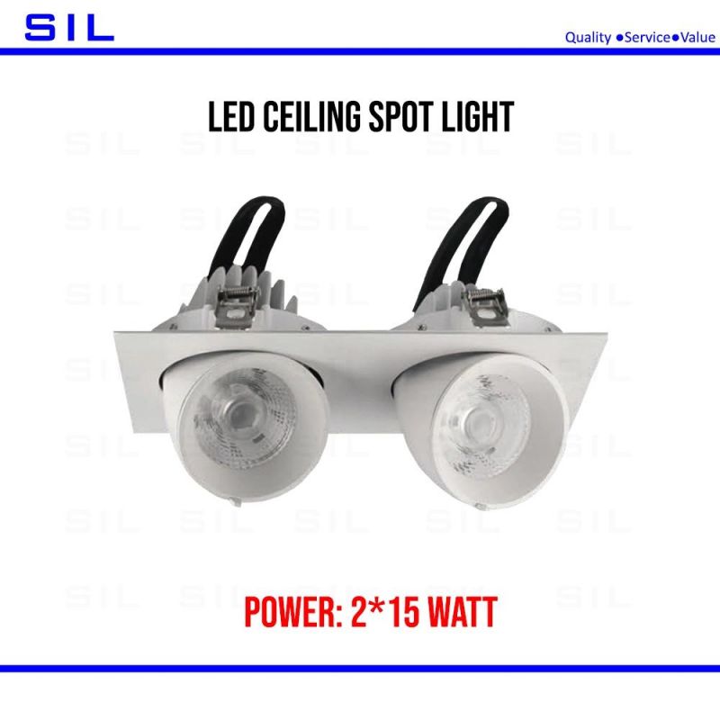 High Quality Modern 2X15W 30W COB Indoor Lighting Recessed Ceiling Spot Light
