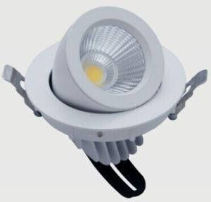 Ronse 20W LED COB Trunk Down Light Rotable Ce RoHS High Quality (RS-F401C)