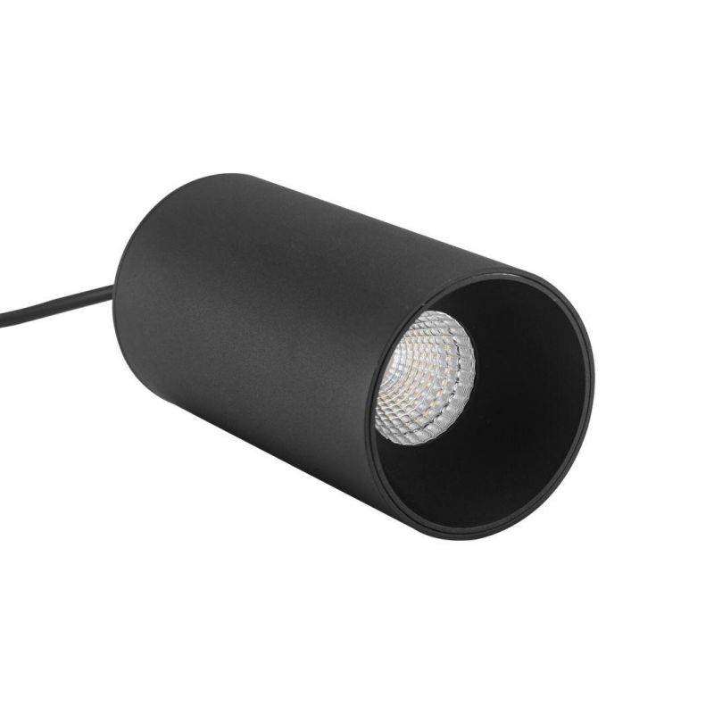 Modern LED Commercial Ulse Lighting Pendant Lamp for Canteen IP20