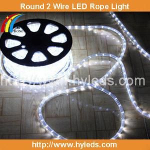 Multi Color LED Rope Light / LED Rope (5 wires)