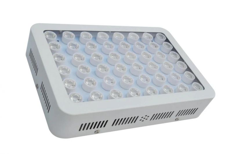 Horticulture Full Spectrum 300W Quantum Board LED Grow Light for Medical Plants