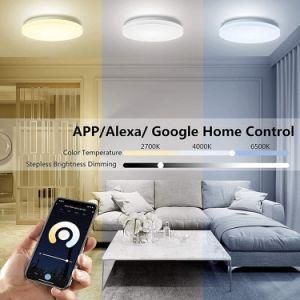 Voice Control Wireless Remote Control Flush Mounted LED Ceiling Light WiFi Smart Life 30W IP54 Waterproof for Bathroom