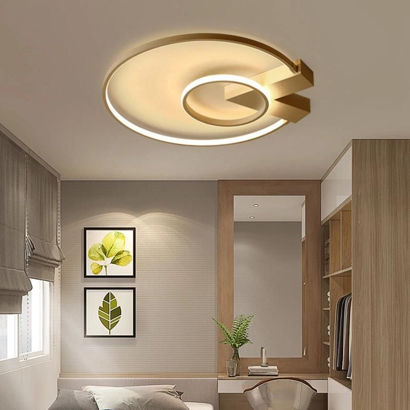 Living Room Decoration LED Indoor Ceiling Light Home Lighting
