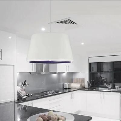 LED Modern Lighting for The Kitchen Pendant Lamp