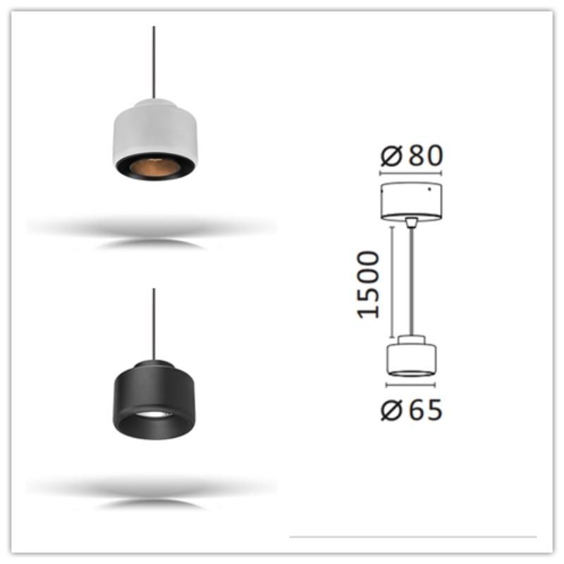 Anti Glare Snoot COB Ceiling Wall Light 30 Degree Beam Angle 6W LED Pendent Lights