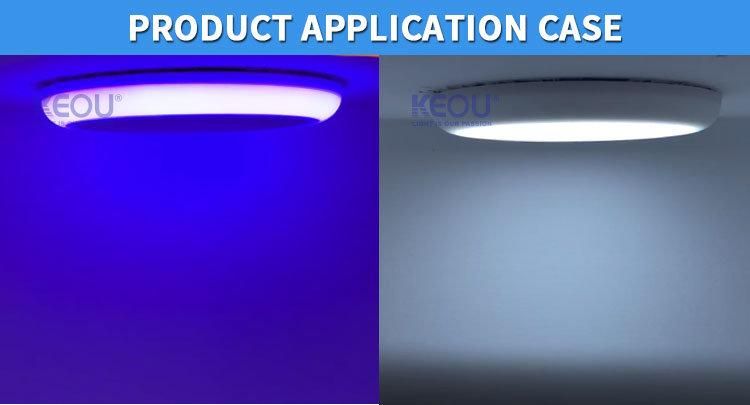 Small RGB Ultra Thin Round 9W Double Color Panel Light Frameless Lamp OEM ODM