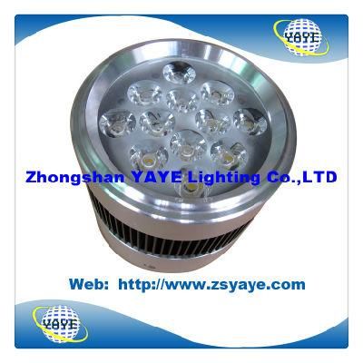 Yaye Top Sell Surface Mounted 12W LED Downlights / Surface Mounted 12W LED Ceiling Light (YAYE-LDSM12W15)