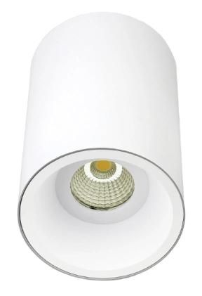 Surface Mounting Module LED Downlight Smx2a CCT 2700K-6500K