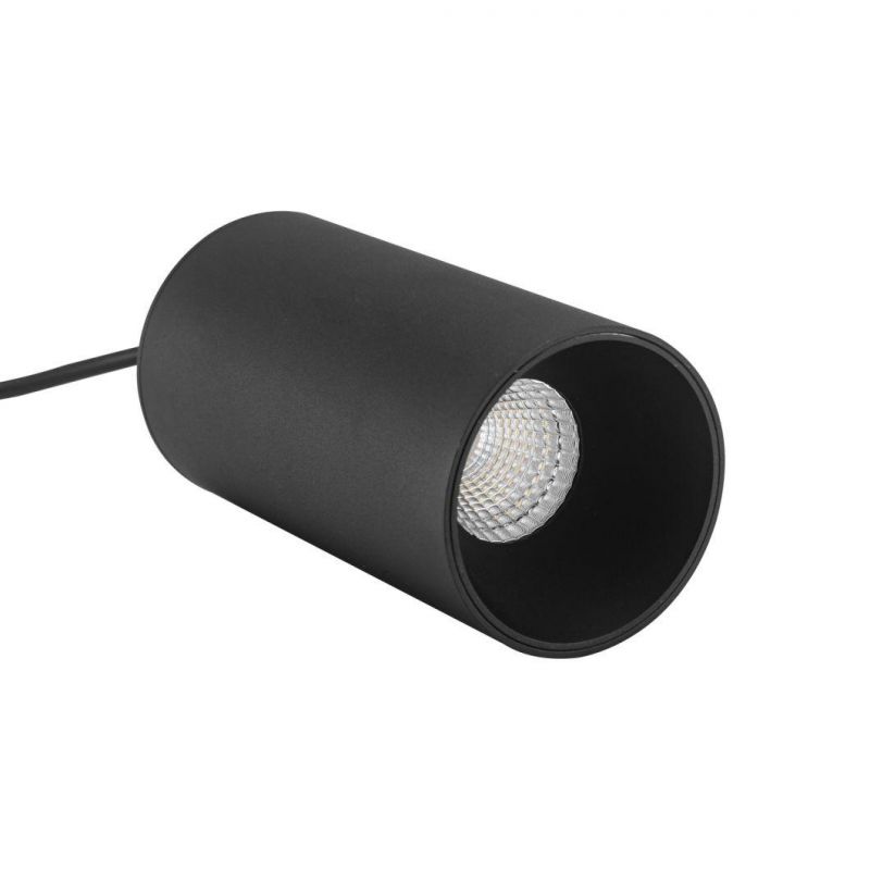 Popular LED Commercial Use Lighting Pendant Light for Canteen Museum 3 Years Warranty