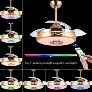 Wholesale Customization Modern Invisible Blades OEM Music Speaker Ceiling Fan with Light 110V WiFi