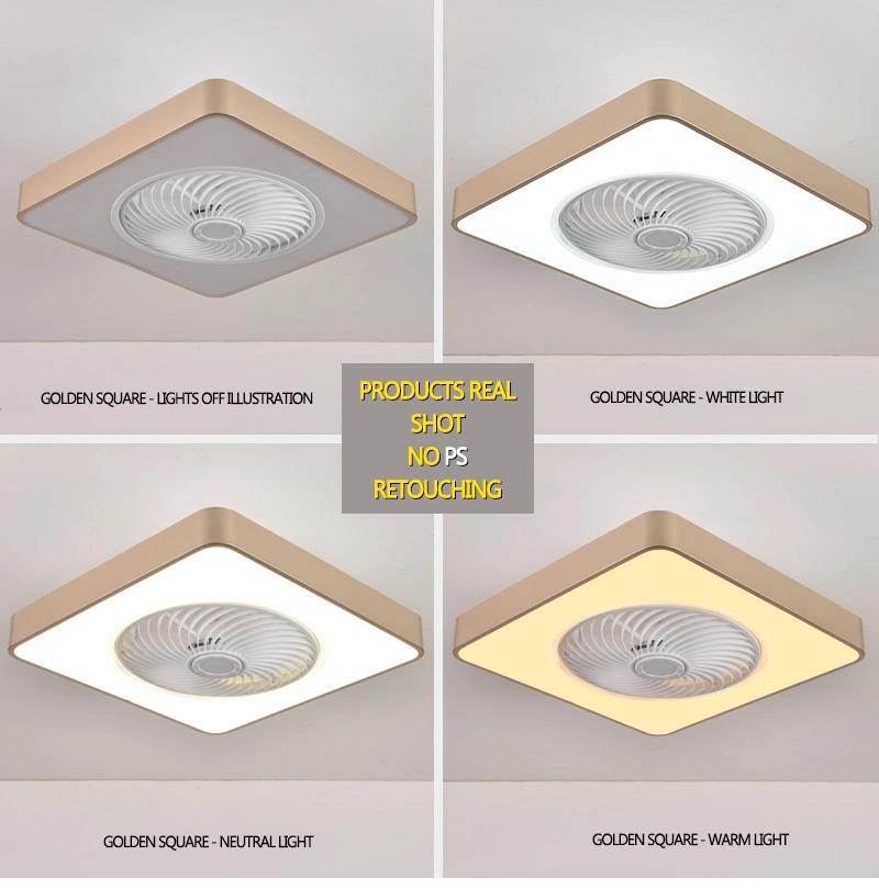 LED Ceiling Fan New Arrival 220V AC Motor Multifunction LED Lighting Fan Ceiling Light