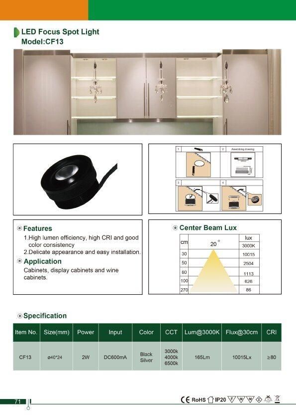 DC600mA Display Cabinet Lighitng LED Focus Spotlight