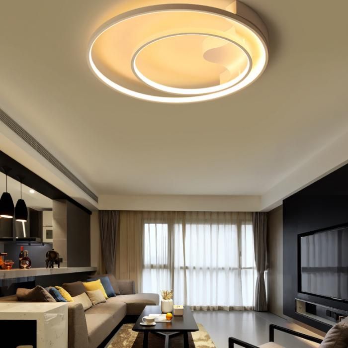 Aluminium Modern Decorative LED Ceiling Lamp Lighting for Living Room and Kitchen with LED Circle 2 Rings