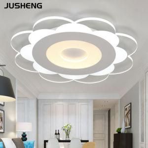 New Ceiling Lamp 30W for Indoor Hotel Bedroom Decorative Lighting with Ultra-Thin Acrylic 110-240V AC