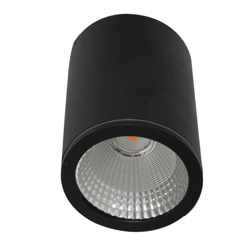 Aluminum Outdoor Ceiling Spotlight LED 12W COB Down Light Waterproof LED Ceiling Light