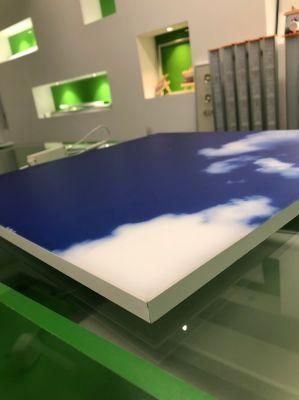 Blue Sky/White Cloud LED Panel Light Ceiling Indoor