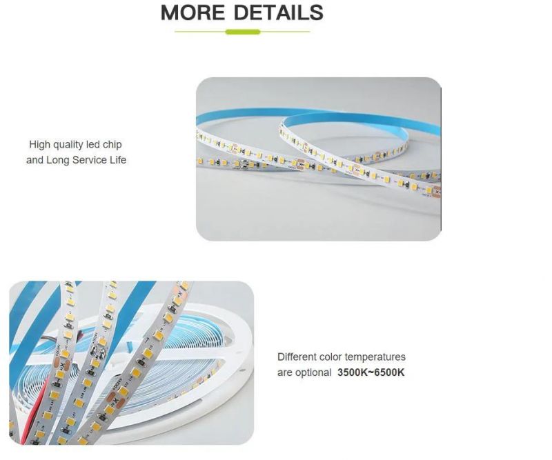 LED Strip 10m/Roll SMD2835 120LEDs/M 3500K/4000K/6500K IP20 LED Strip Light