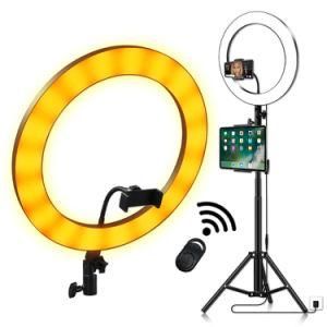 Factory Price High Quality Ring Light iPhone 3 Light Modes 10 Brightness USB Beauty Selfie Ring Light Makeup