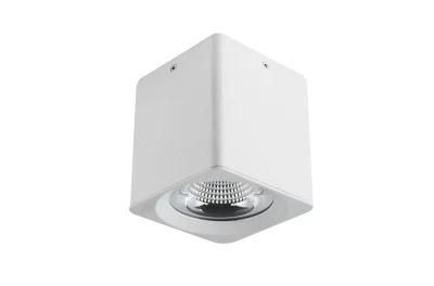 3 Years Warranty 8W Surface Mounted Downlight for Indoor Project IP20