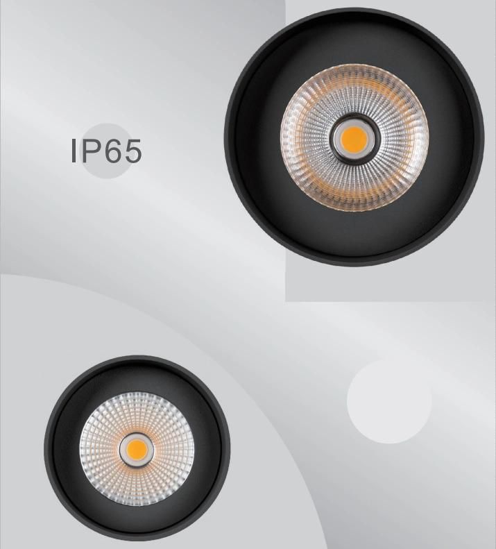 LED IP65 6W 10W Professional Surface Mounted Down Light Ceiling Light Black/White