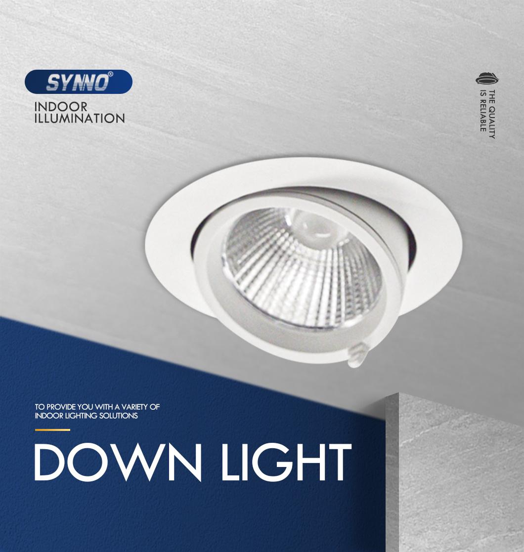 10W 20W 30W Aluminum Dimmable LED Spot Lights 12V 24V DC Waterproof Ceiling COB LED Down Light for Indoor Light