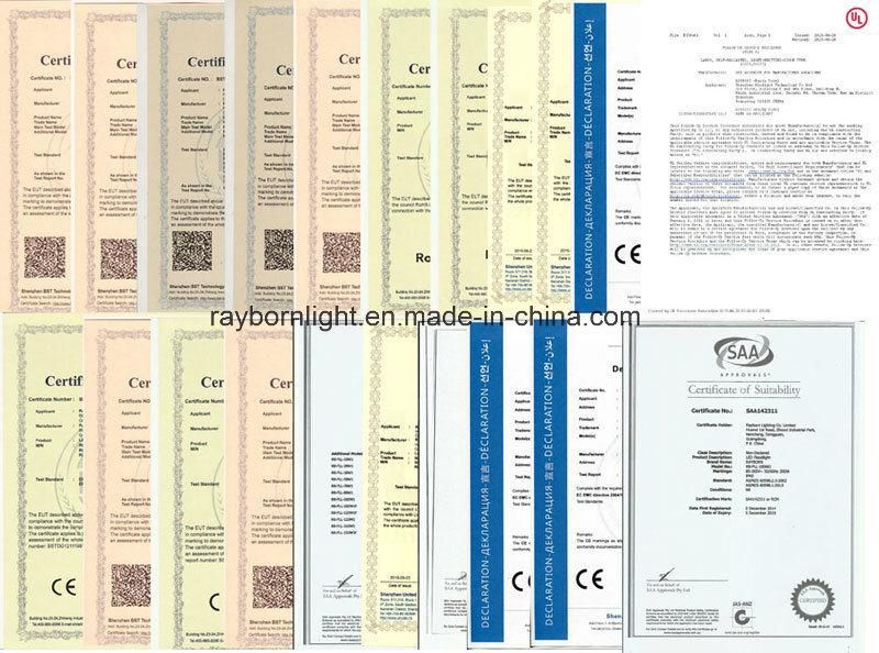 Ce Approved 100W 150W 200W Gas Station LED Canopy Light