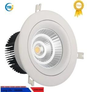 Factory High Quality Indoor COB 6W/40W LED Downlight Epistar