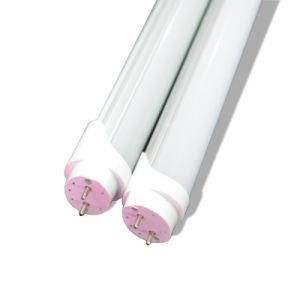 2ft/3ft/4ft/5ft/6ft/8ft T8 LED Tube, Cold White T8 LED Tube