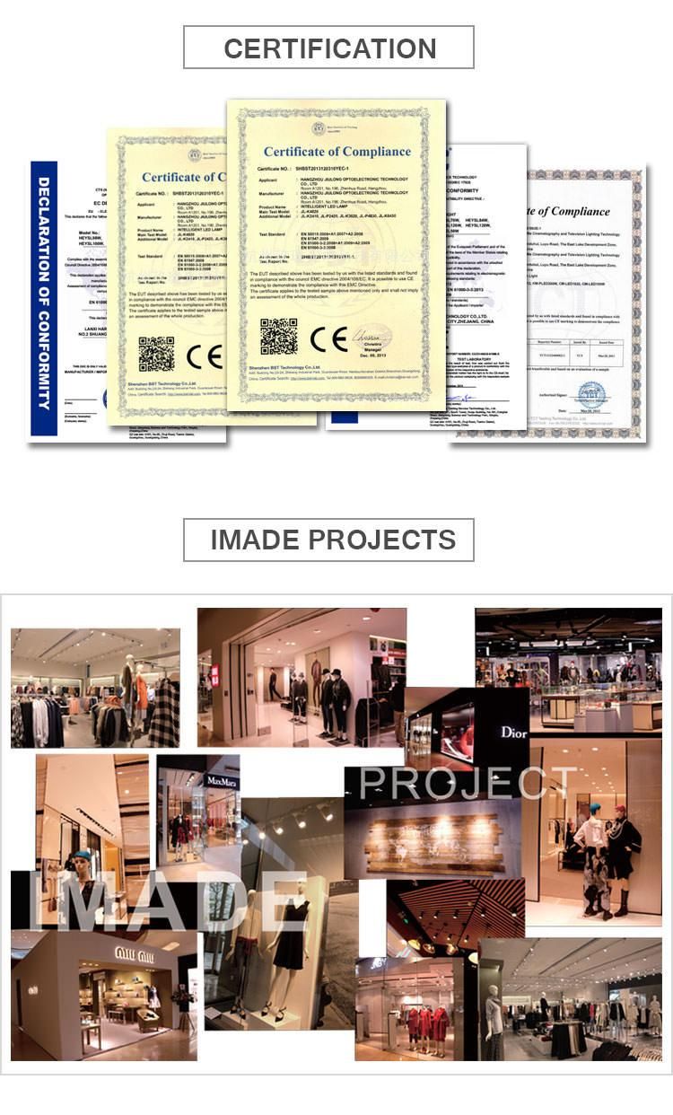 Single/Double/Triple Head 15W 2X15W 3X15W Modern Commercial Ceiling LED Lamp Down Light