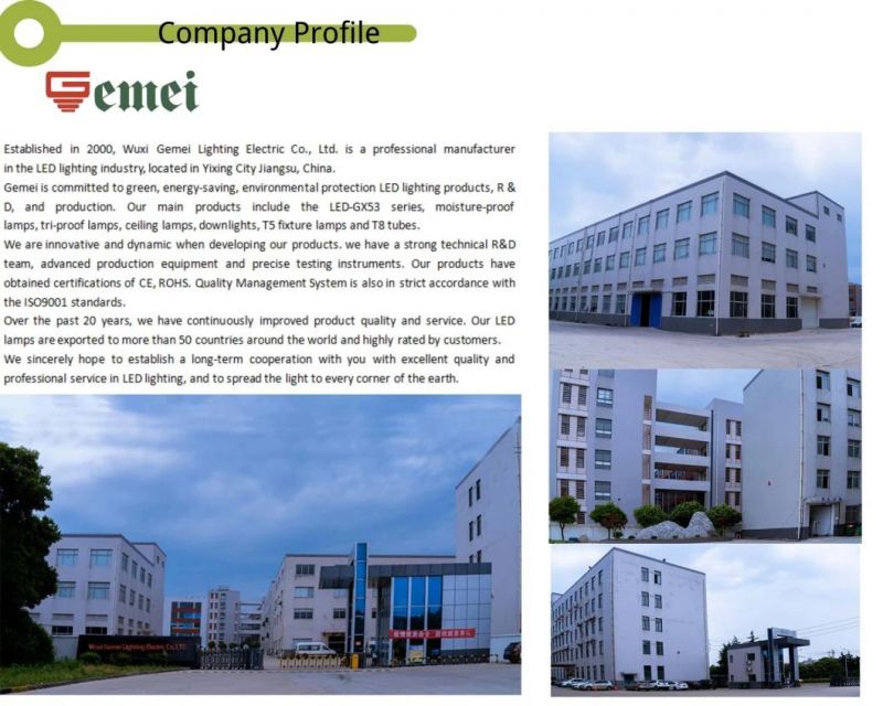 Factory Price, Fast Lead Time and Flexible OEM Service Help to Meet Customer′s Demand T Shape Lamps with Streak