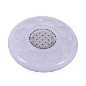 Round Ceiling Lgiht LED (SMR29-24W)