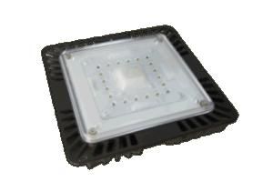 LED Garage Light