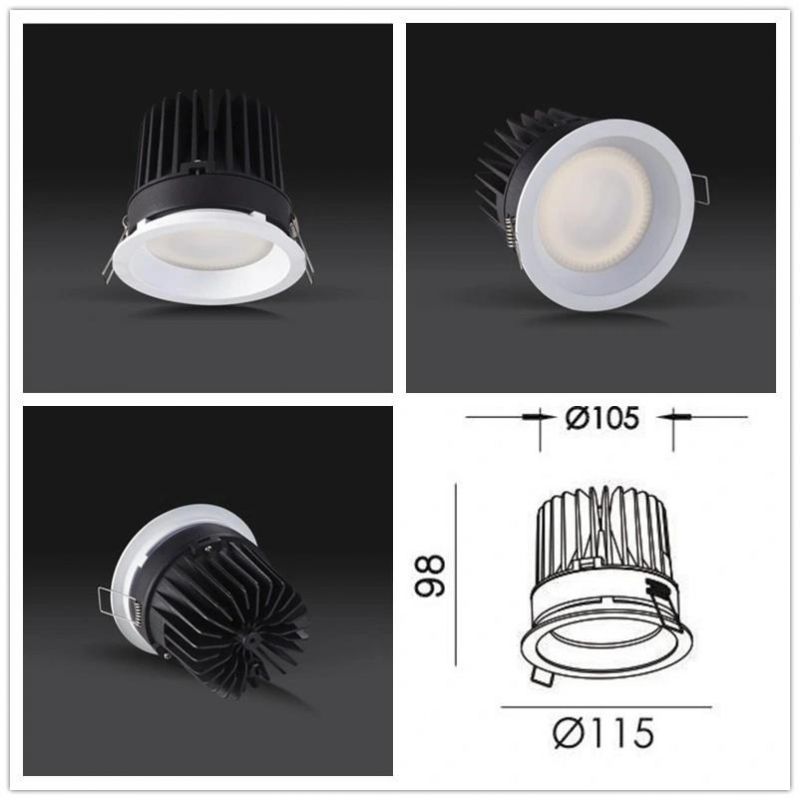 R6195 20W 1420lm High Power COB LED Commercial Indoor LED Spotlight