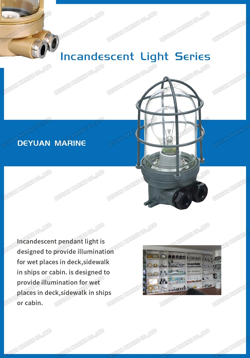 Cxh9-5 Steel Marine Emergency Light 30W for Ships