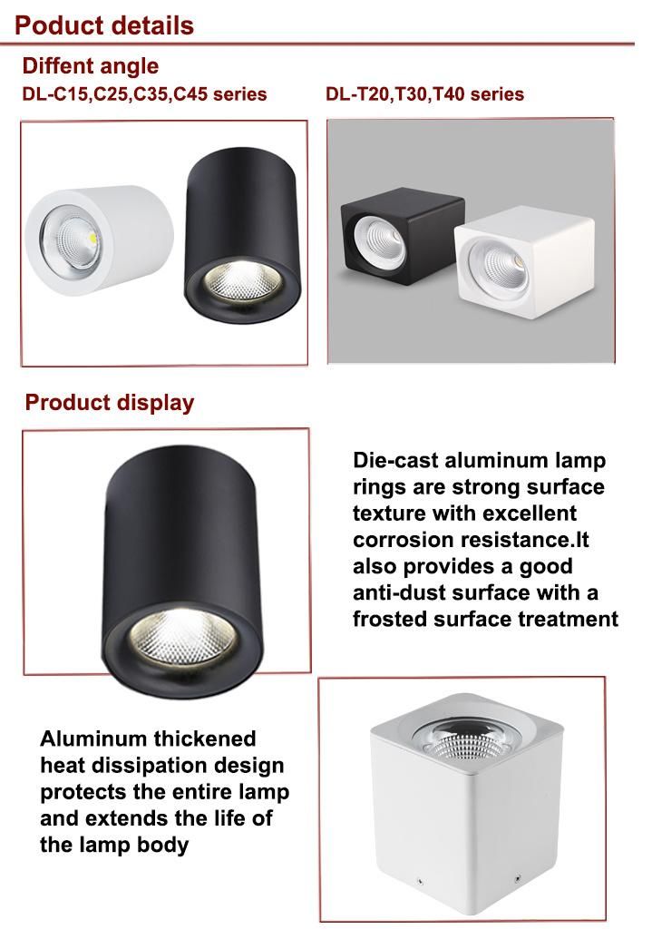 Modern Nordic Indoor Home Bathroom Fancy Dimmable COB Down Surface Mounted LED Light Lamp