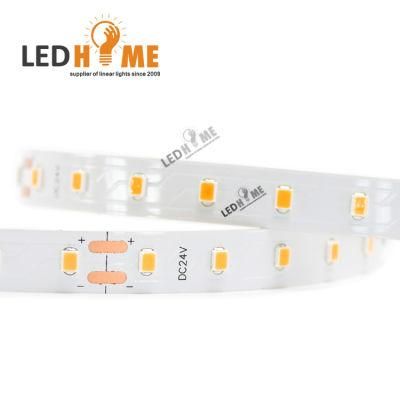 IP20/IP65/IP68 LED Strip Suitable for Indoor Decoration