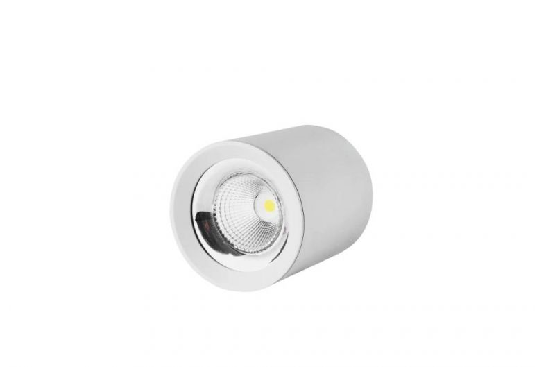 Dimmable LED Downlight Round Spotlight COB Ceiling Lighting