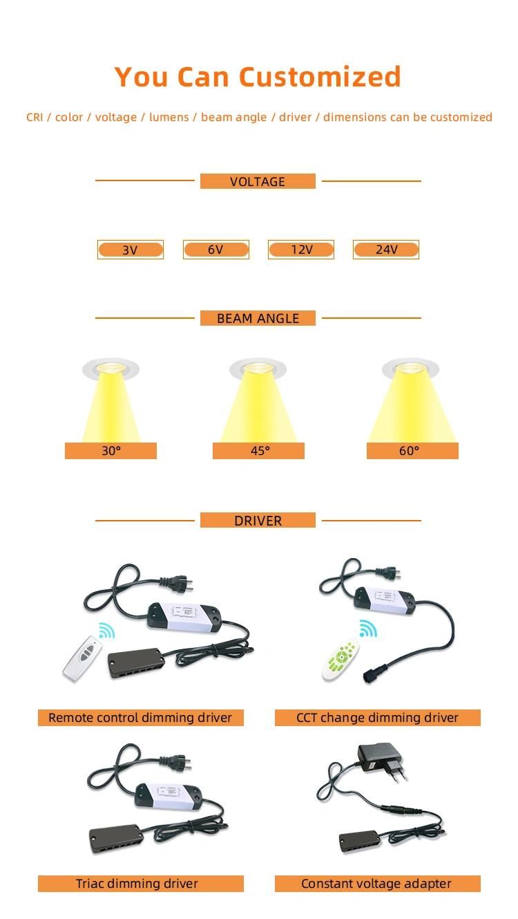 Recessed LED Spotlight 3W COB LED Light Spot Light Downlight 301