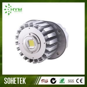 Waterproof 300W LED Flood Light with Meanwell Driver (CH-D1Y-1WX-126-A3)