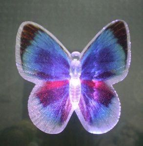 Colour Changing LED Butterfly Decoration
