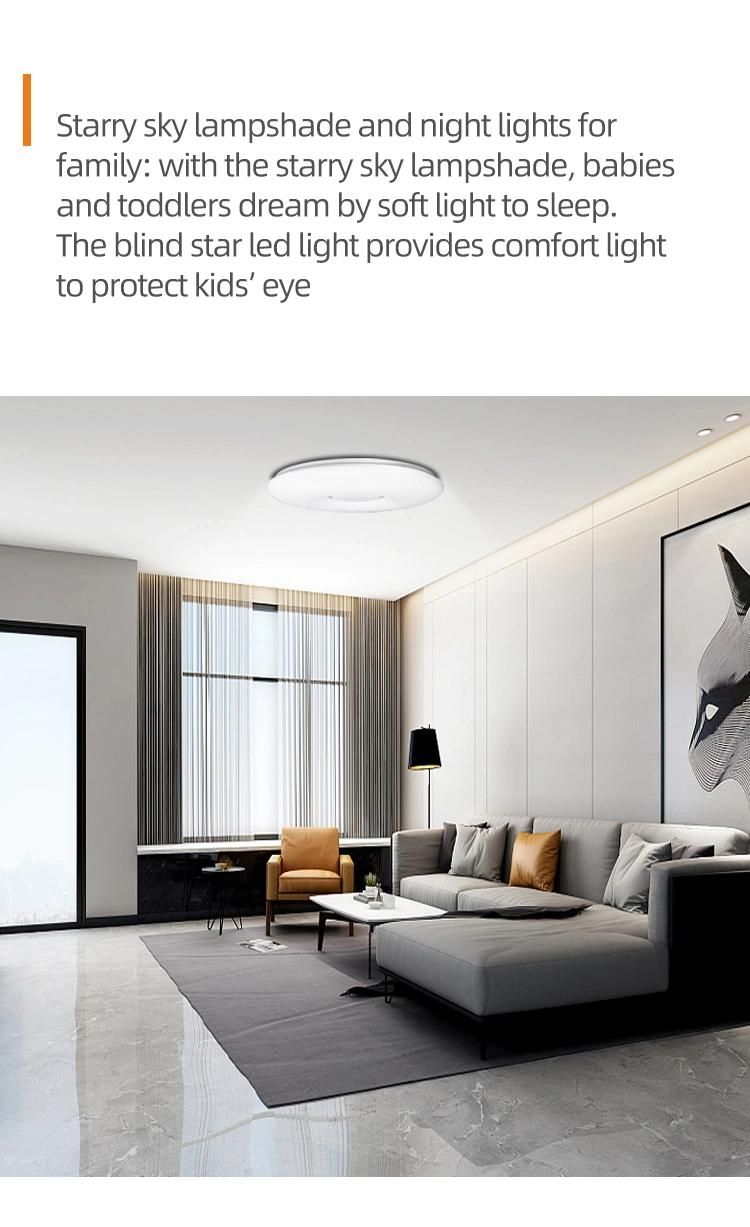 New Indoor IP65 LED Ceiling Lamp Nordic WiFi Ceiling Light