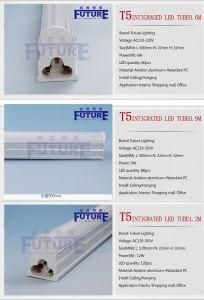 China CE RoHS 0.6m 6W LED Tube Lamp T5 LED