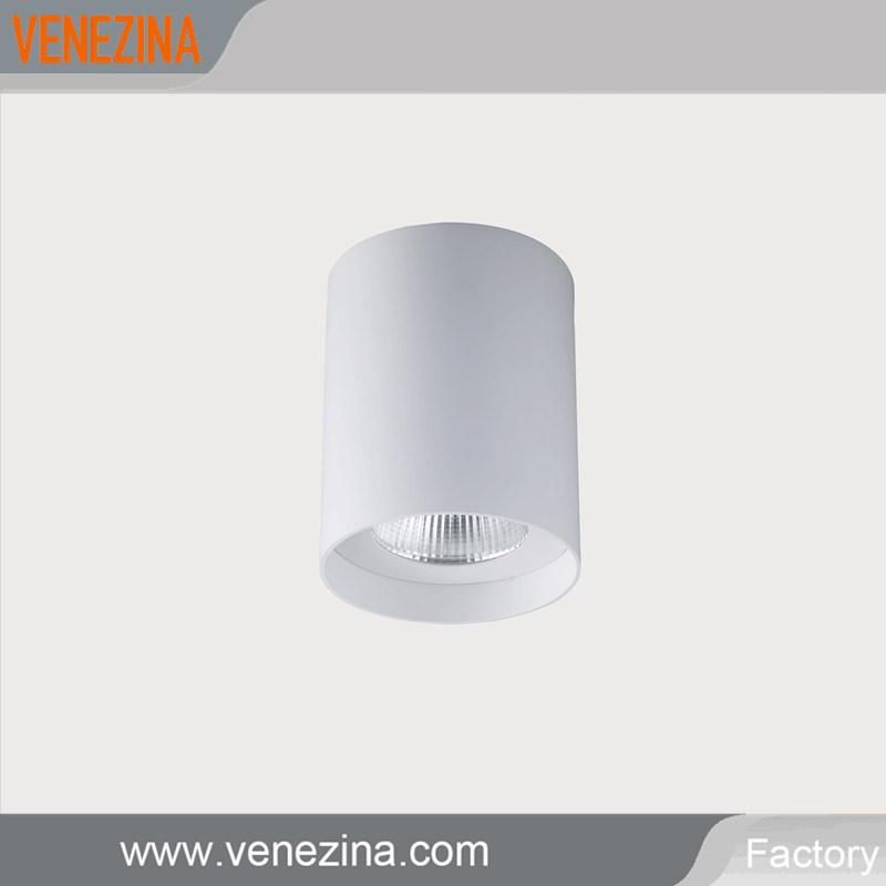 High Power 20W COB LED Ceiling Lamp Surface Mounted LED Light